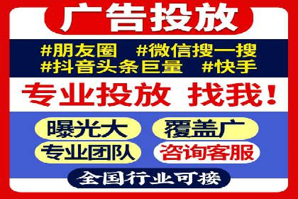 某行业领军企业的SEM广告投放策略
